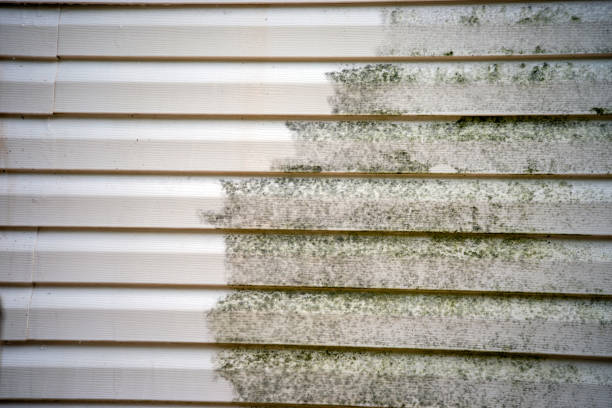 Best Property Management Cleanouts  in Heflin, AL